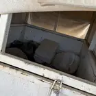 قلص للبيع