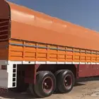 تيدر جوانب كرونا الماني