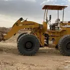 شيول