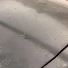 فورد فكتوريا 2003 قير أرضي