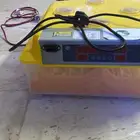 فقص البيع