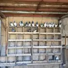 حمام هندي وتيدي