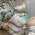 حشف