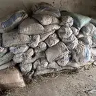 تمر حشف للبيع 50 كيس