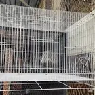 قفص طيور للبيع ب50 في بيشة