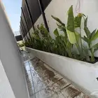 تنسيق حدائق
