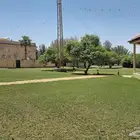 مزرعة الجوهرة للإيجار اليومي في بريدة