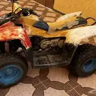 دباب سويدي طيب للبيع