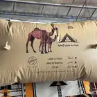 راوية الماء الصحراء
