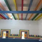 القط العسيري