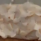 شنطة بناتي للعيد