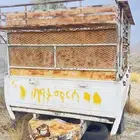 عربة نحل سحب للبيع ع السوم