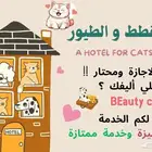 فندقة قطط و طيور