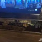حي الياسمين المدينه طاوله