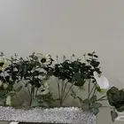 استاندورد جديد