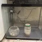 حوض اسماك للبيع