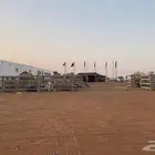 تاجير شبوك ابل بمهرجان الملك عبد العزيز