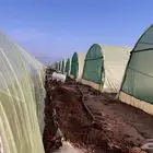 مزرعه تربية نحل
