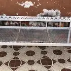 2 كراسي للبيع