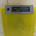 فقاصه