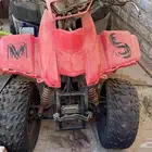 دباب دينالي