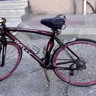 سيكل رياضي (Rally Shimano)