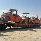 لوبد في الدمام