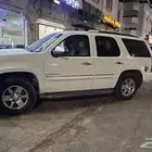 جمس دينالي 2007