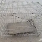 للبيع قفص قطط وكلاب