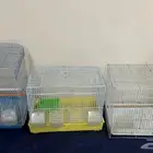 قفص ببغاء للبيع