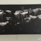 لوحات جداريه باسعار مغريه