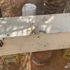 تم البيع