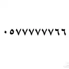 رقم 66