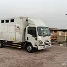 تتحرك دينا نقل خيل من بيشة الى خميس مشيط اليوم