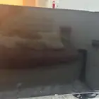تلفزيون