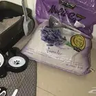 اعرض قطه