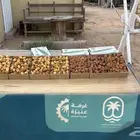 تمر خلاص مناصيف و رطب