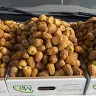 مفتل سكري طيب
