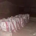 رمث خياش للبيع رمث رميثات خياش رمث 45 السعر