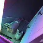 بسه سكوتش عمرو شهرين