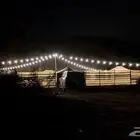 مخيم للتأجير اليومي بعنيزه الغضا