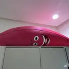 موز ونترلاند