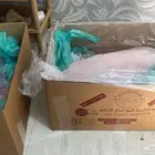 أضاحي ( يتوفر تمارا   تابي )