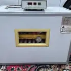 فقاسة بيض