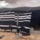 قطبه شعر اصلي