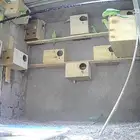 تم البيع محميه طيور دره هنديه