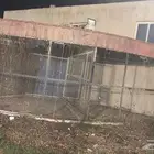 مخيم للبيع وقفص وبعض الاشياء