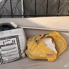 مكينة تغسيل مسبح