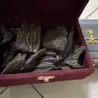 عود كلمنتان طبيعي محسن