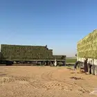 برسيم صافي